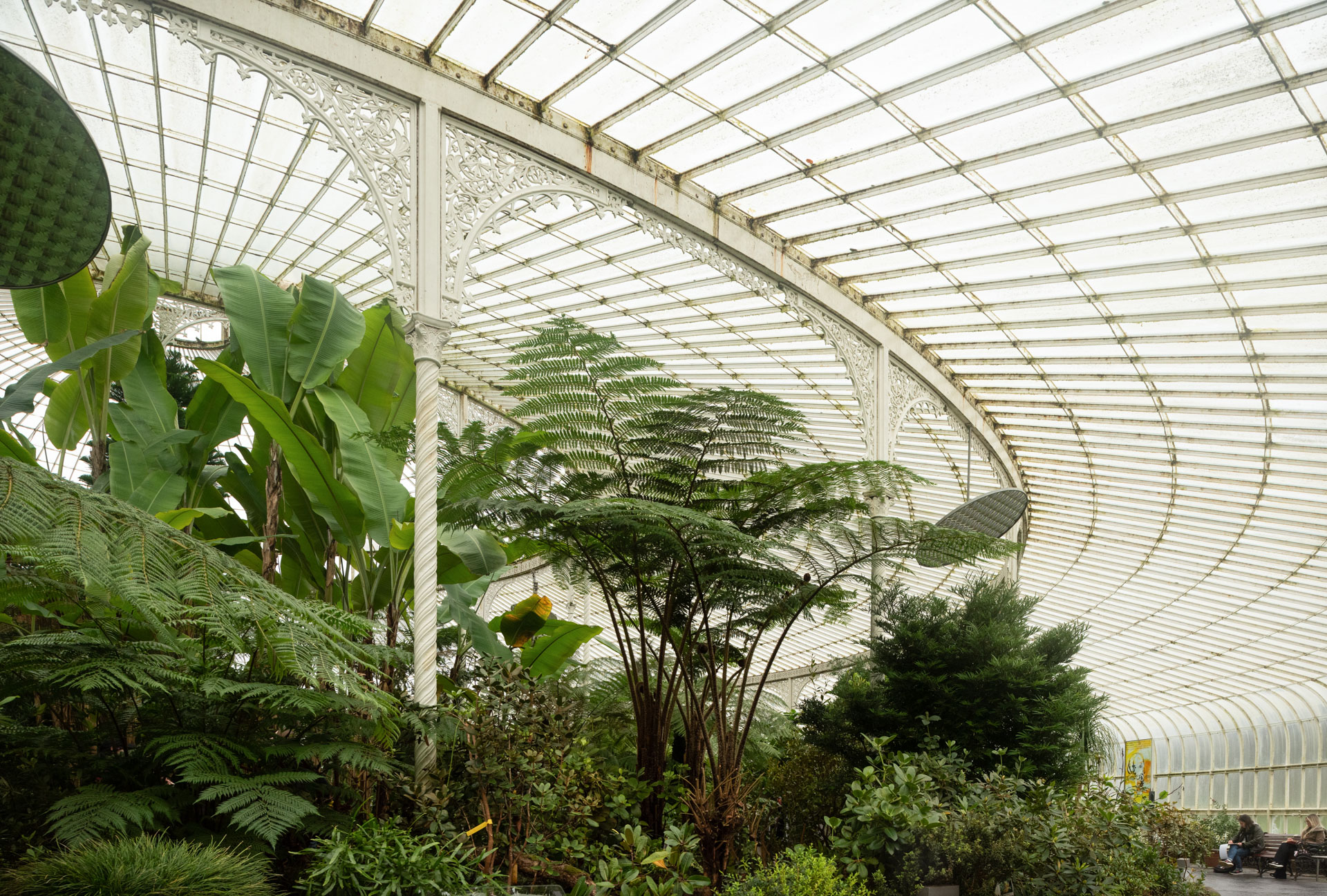 Tom manley botanics glasgow